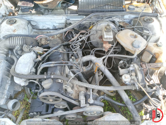 48_APLDETRO07-22 (5).jpeg