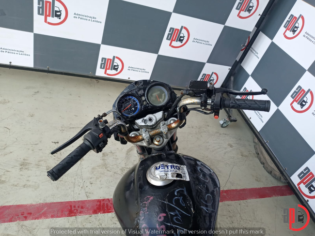159_APLDETRO07-22 (3).jpeg