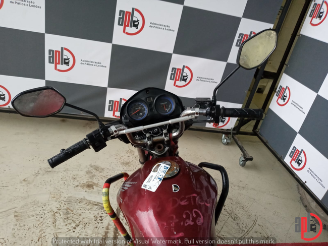 161_APLDETRO07-22 (3).jpeg