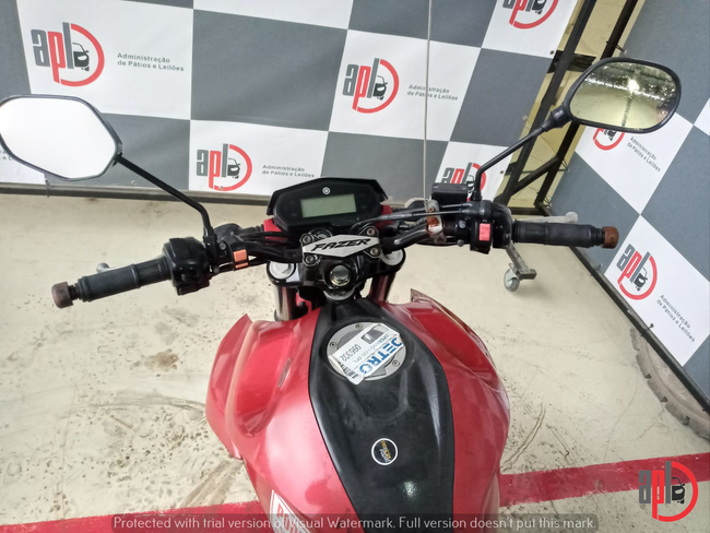 194_APLDETRO07-22 (3).jpeg