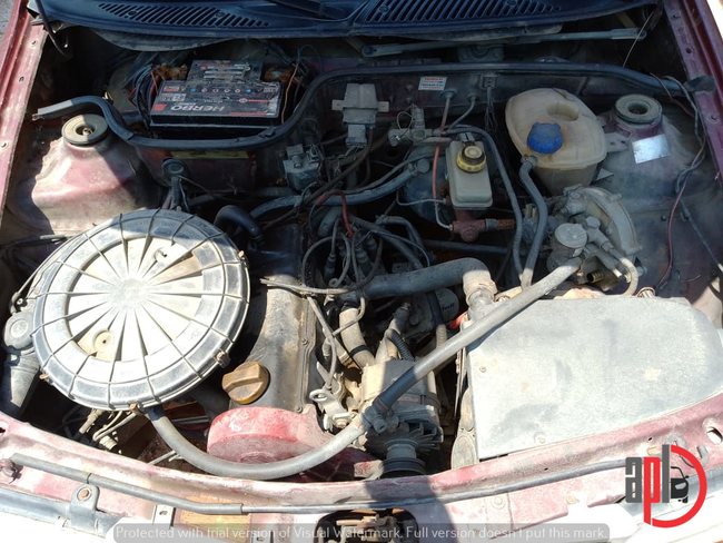 240 (5).jpeg