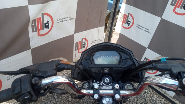 LOTE 065 (03).jpeg