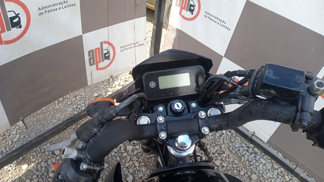 LOTE 049 (03).jpeg