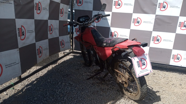 LOTE 018 (02).jpeg