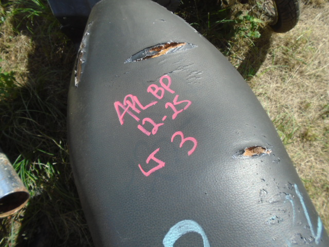 DSC08584.JPG