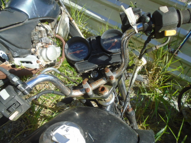 DSC08531.JPG