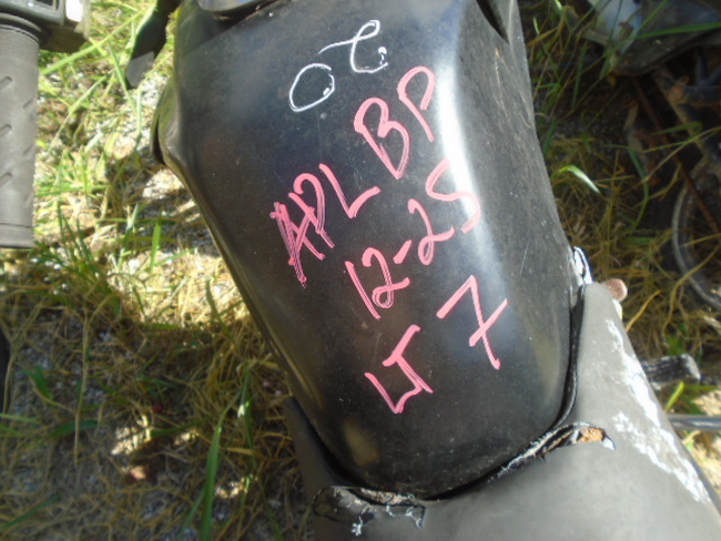 DSC08528.JPG