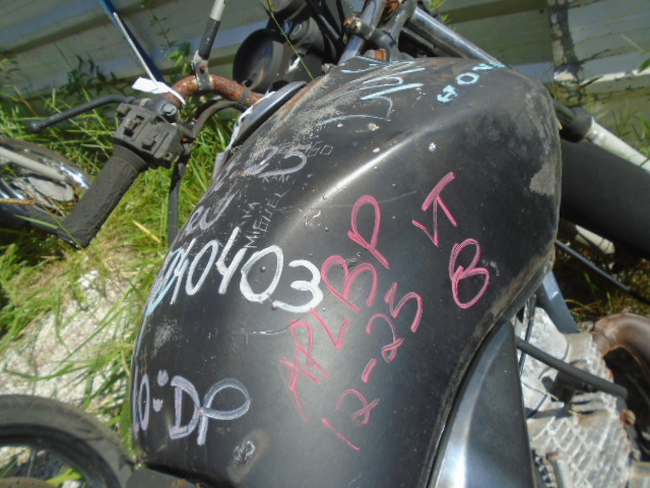 DSC08600.JPG
