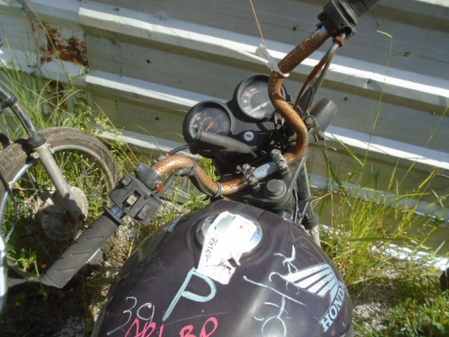 DSC08559.JPG