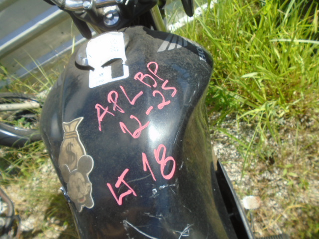 DSC08560.JPG