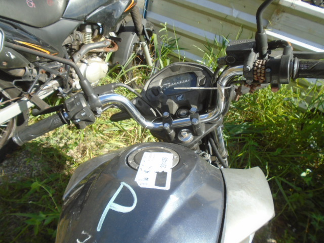 DSC08550 - Copia.JPG
