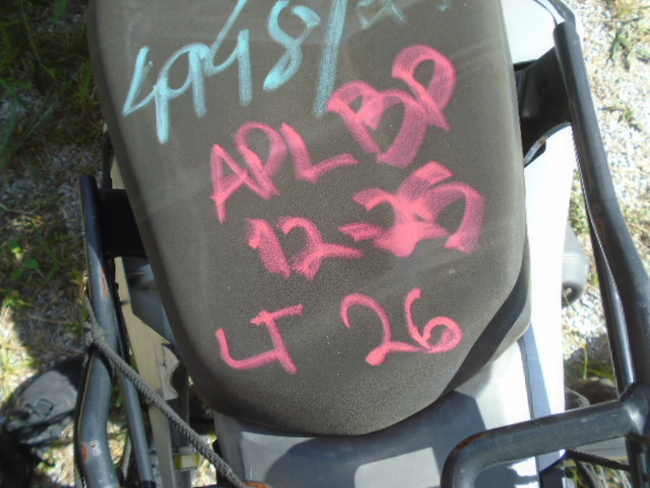 DSC08546 - Copia.JPG