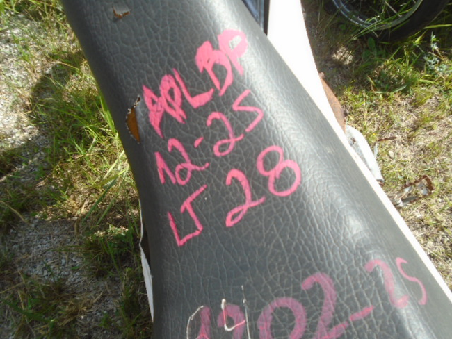DSC08564.JPG