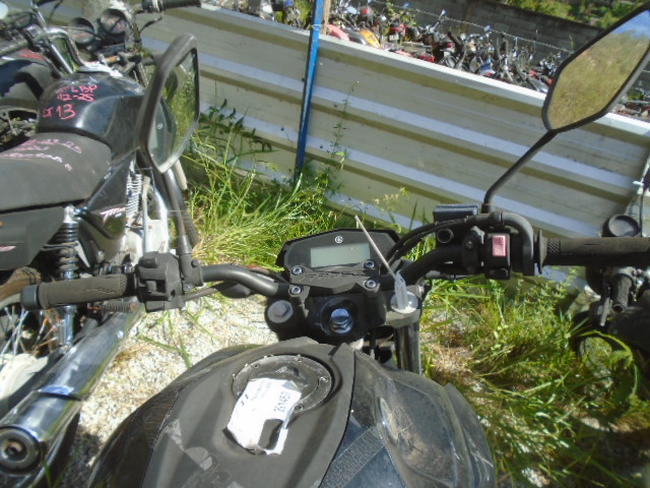 DSC08599.JPG