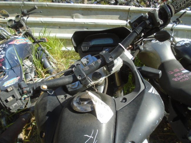 DSC08515.JPG