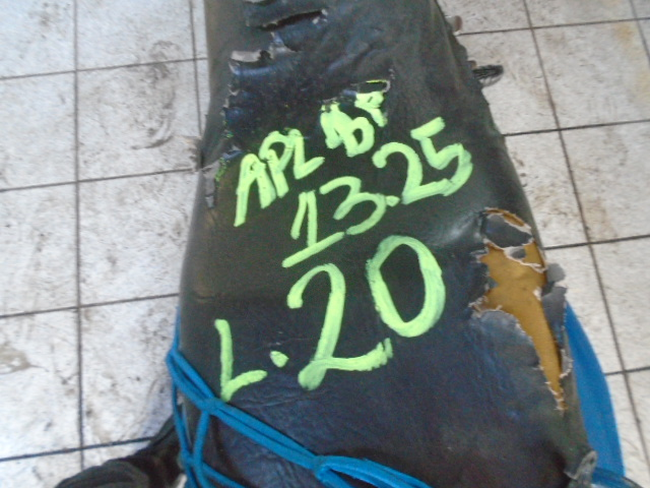 DSC08678.JPG