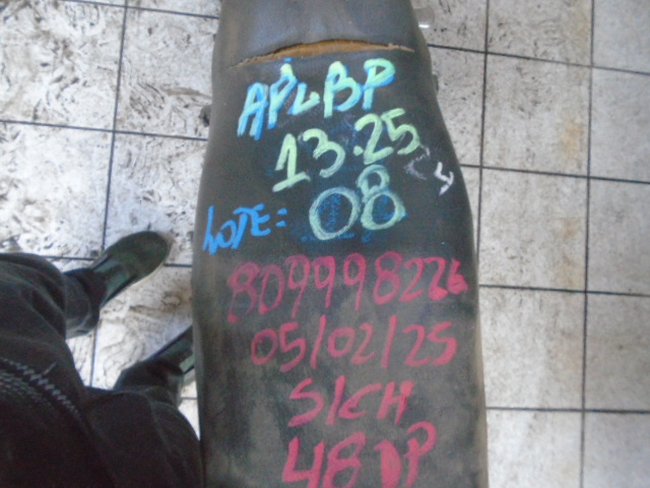 DSC08758.JPG