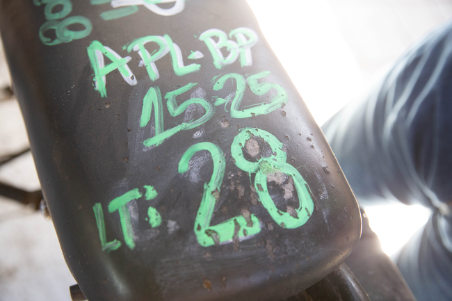 BP15-25-37.jpg