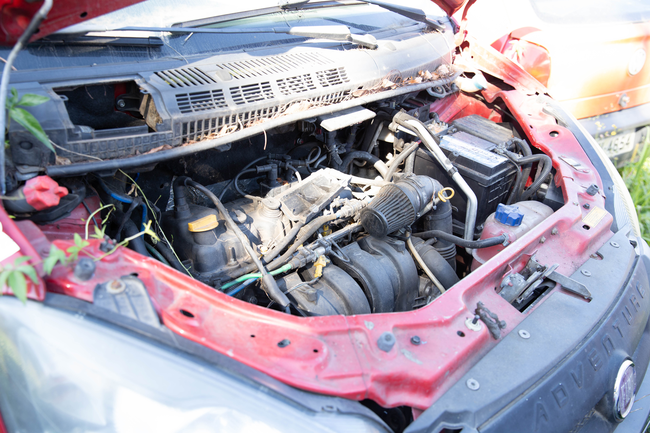 BP16-25-137.jpg