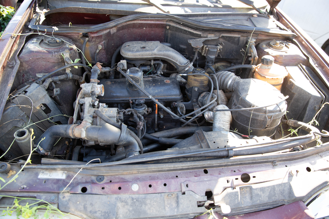 BP16-25-129.jpg