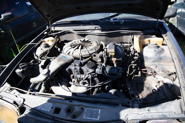 BP16-25-116.jpg