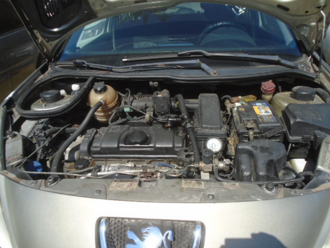 DSC03229.jpeg