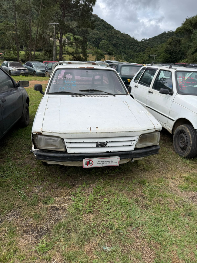 IMG_2909.jpeg