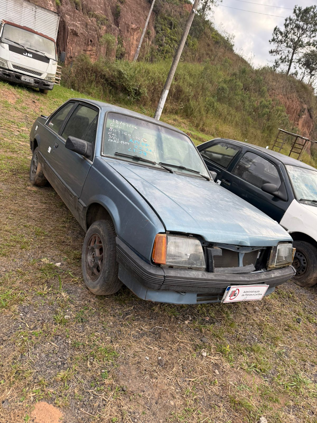 IMG_2866.jpeg