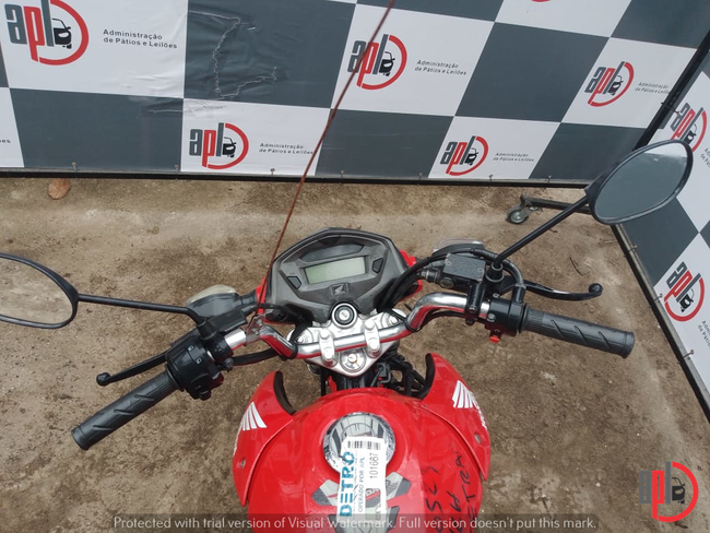 215_APLDETRO06-22 (3).jpeg